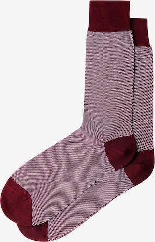 Hackett London Socken ' BIRDS EYE ' in Rot: Vorderseite