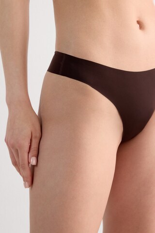 INTIMISSIMI Panty in Brown