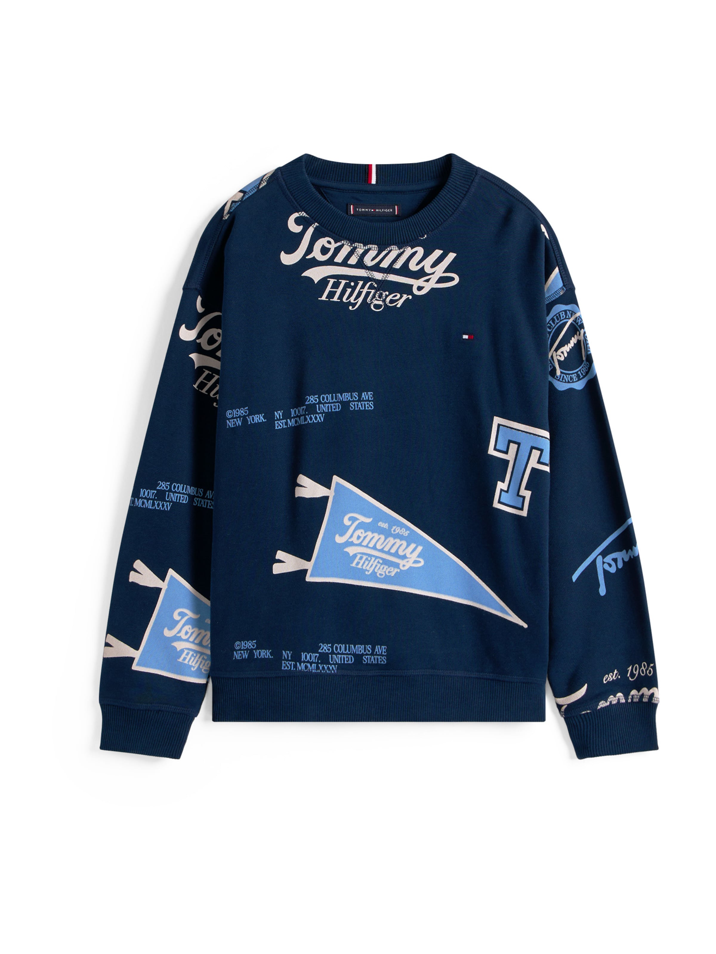 Sweat TOMMY HILFIGER en bleu : devant