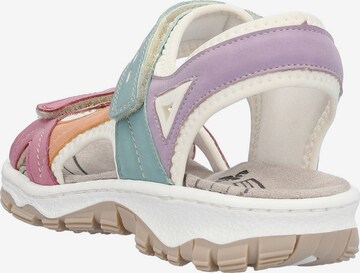 Rieker Sandals in Mixed colors