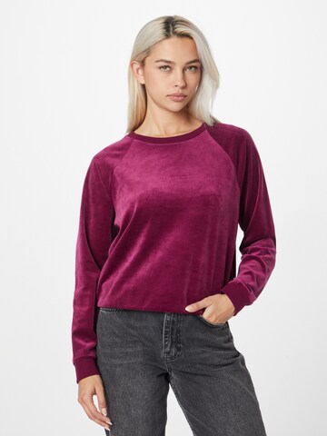 Sweat-shirt GAP en violet : devant
