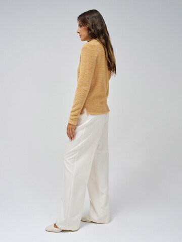 Salsa Jeans Trui in Oranje