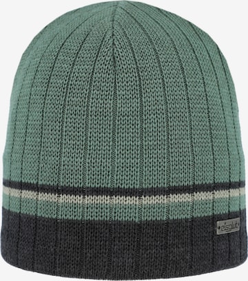 EisglutKapa 'Gatesa' - zelena boja: prednji dio