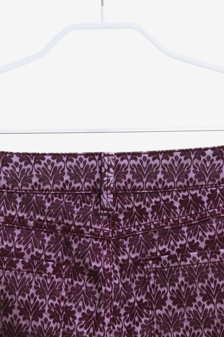 NetWork Pants in S in Purple