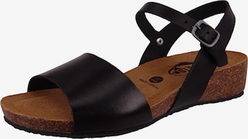 Sandales Plakton en noir : devant