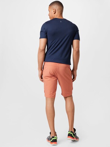 ADIDAS TERREX Regular Outdoorshorts 'Zupahike' in Braun