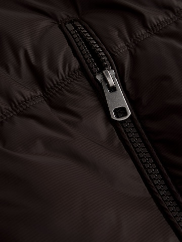 Next - Chaqueta de invierno en marrón