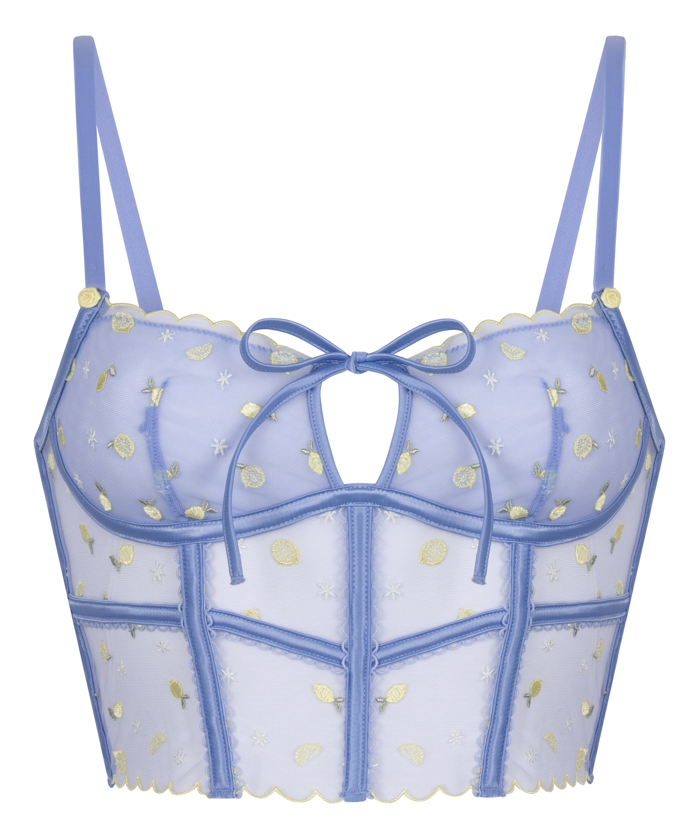 Hunkemöller Corsage in 70 in blau, Produktansicht