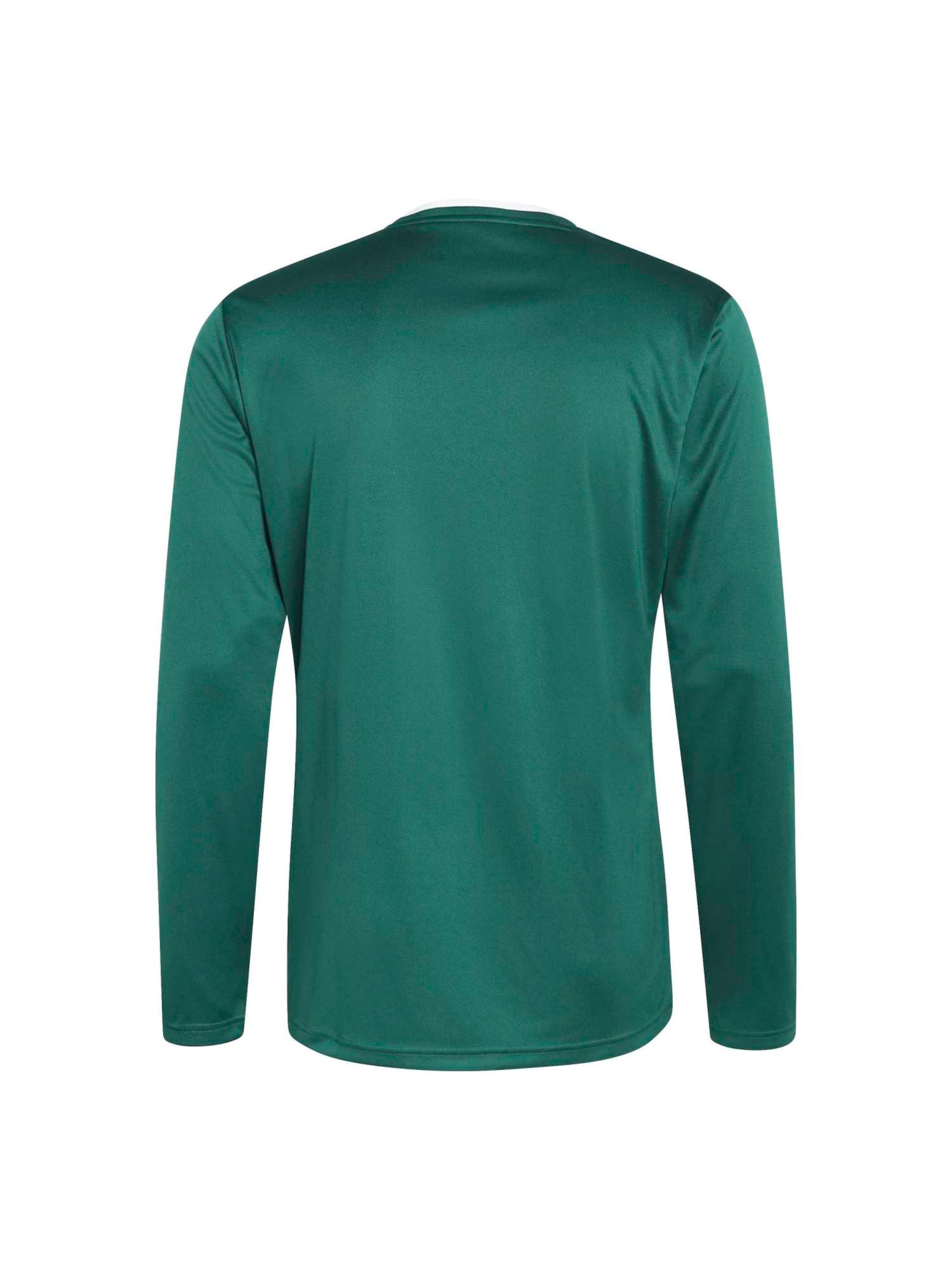 ADIDAS PERFORMANCE Funkcionális felső 'ENT26' - zöld