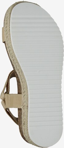 STEVE MADDEN Sandalen in Beige