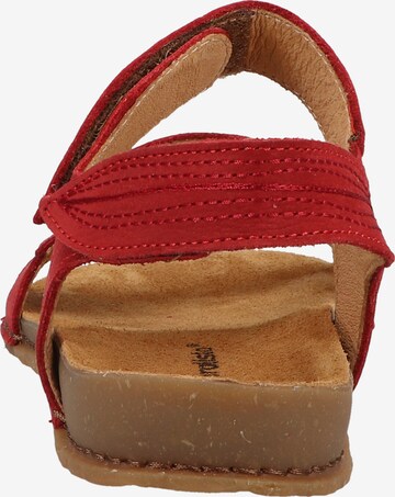 EL NATURALISTA Sandals in Red