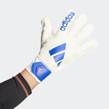 ADIDAS PERFORMANCE Athletic Gloves 'Copa Club' in White