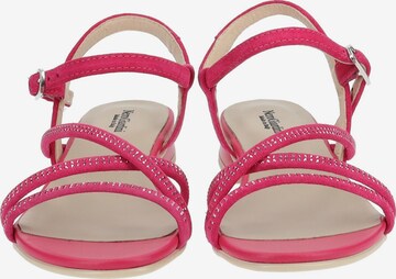 Nero Giardini Strap Sandals in Pink