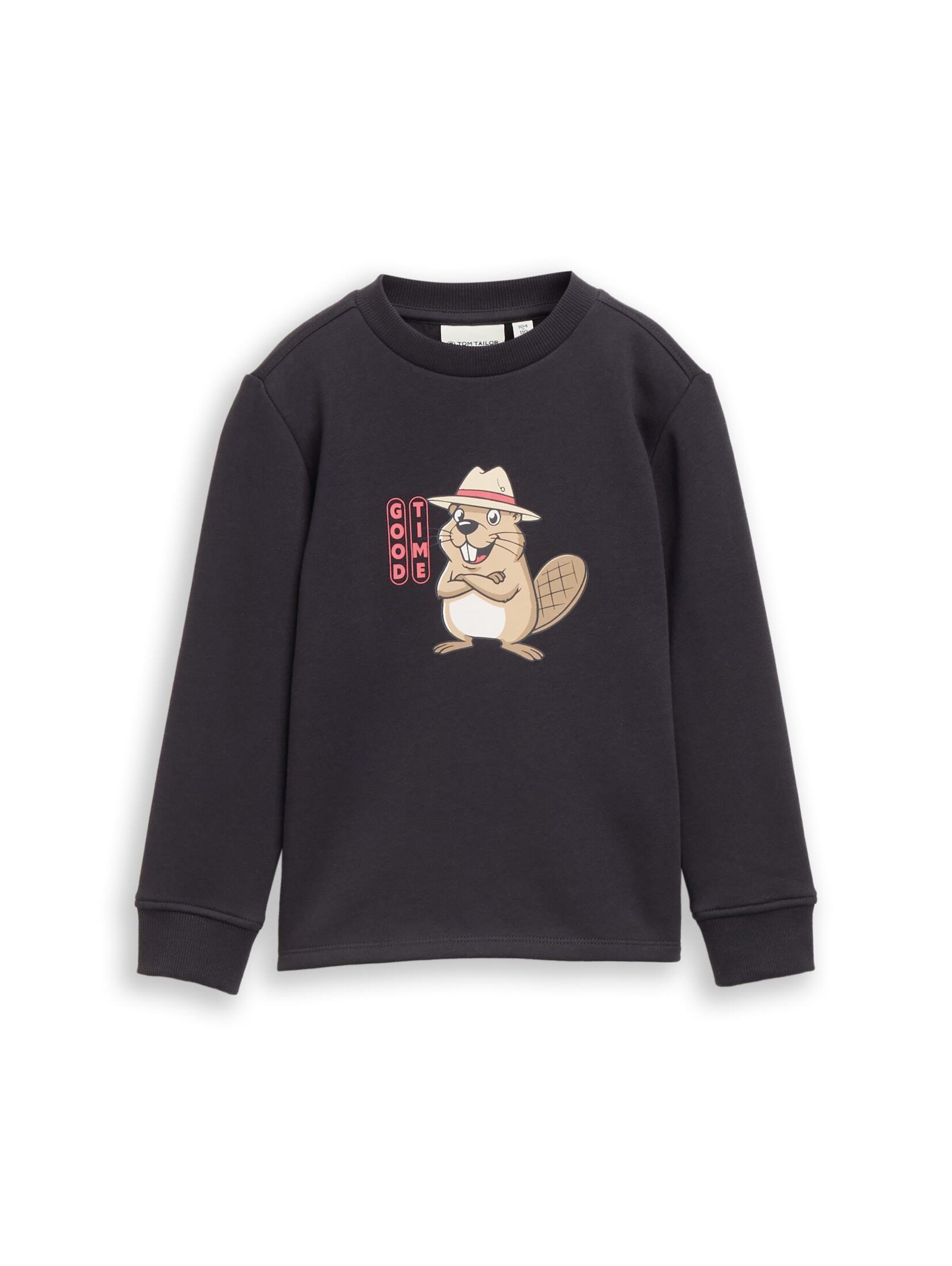 Sweat TOM TAILOR en gris : devant