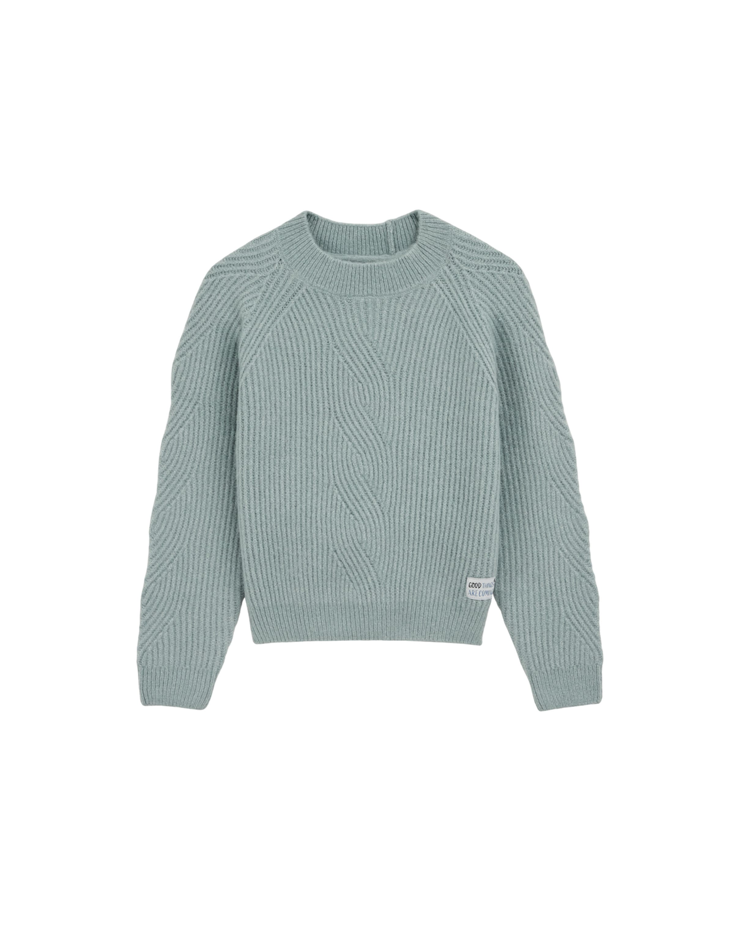 mėlyna WE Fashion Megztinis: priekis