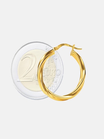 DIAMANT LETERNEL Earrings in Gold