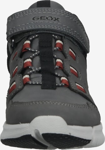 GEOX Boots in Grey