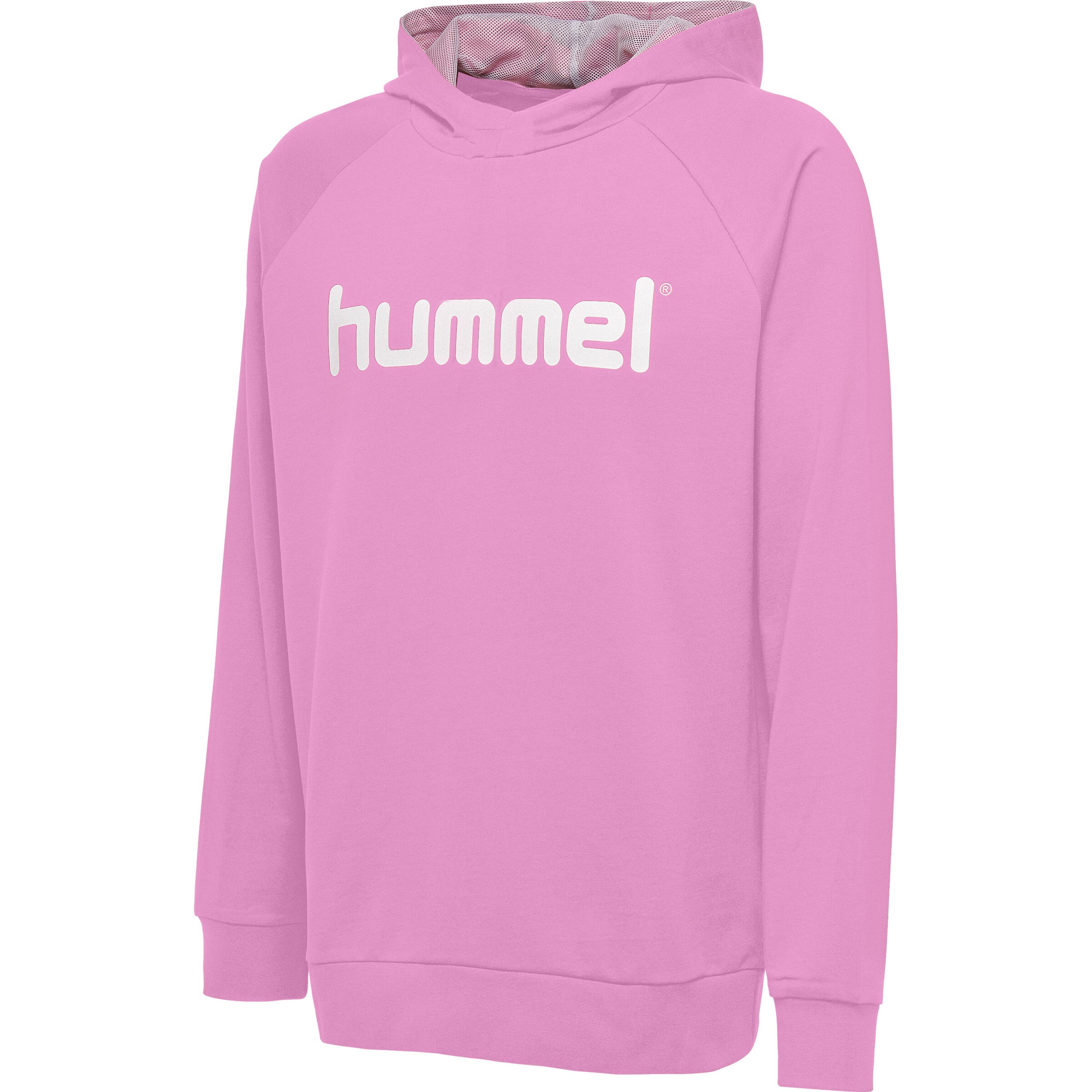 Hummel Sweatshirt in Pink: Vorderseite