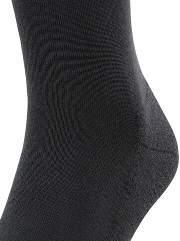 FALKE Knee High Socks 'Airport Plus' in Black