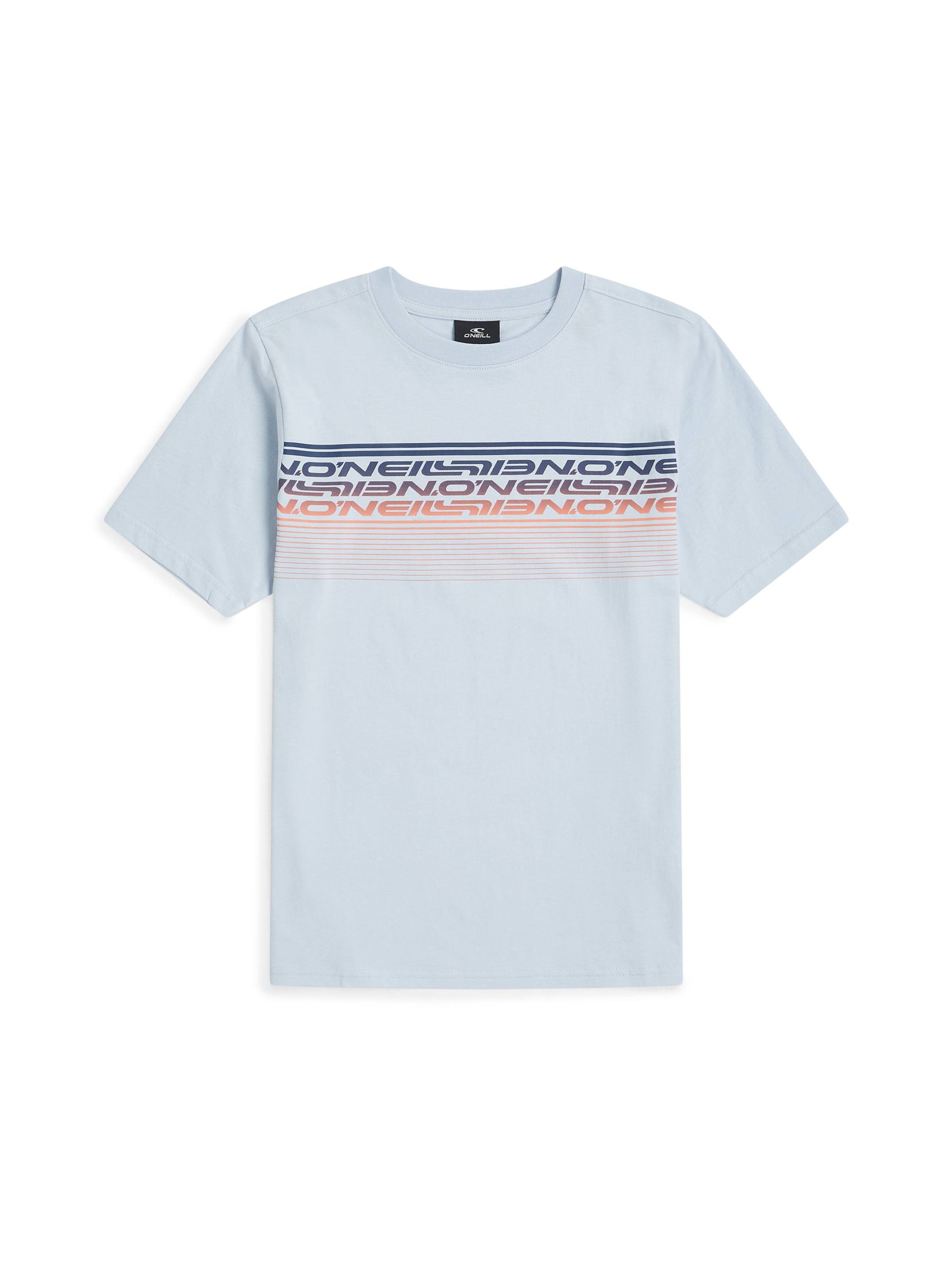 O'NEILL Shirt in Blue: front