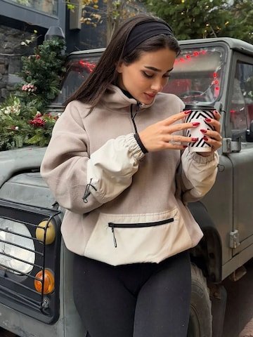 Sweat-shirt 'Sweatshirts' Tommy Life en mélange de couleurs
