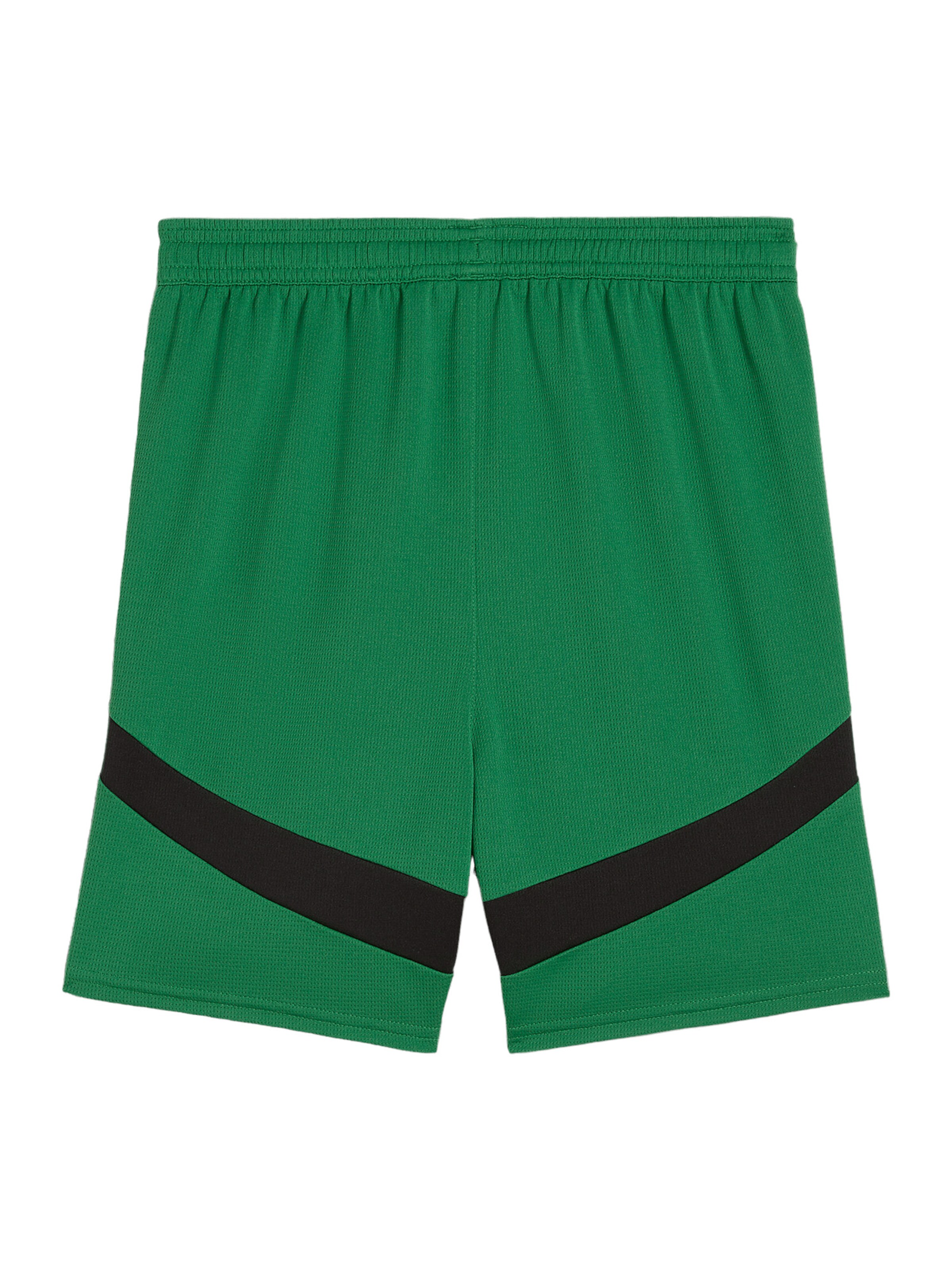 PUMA Regular Sportbroek 'Borussia Mönchengladbach' in Groen