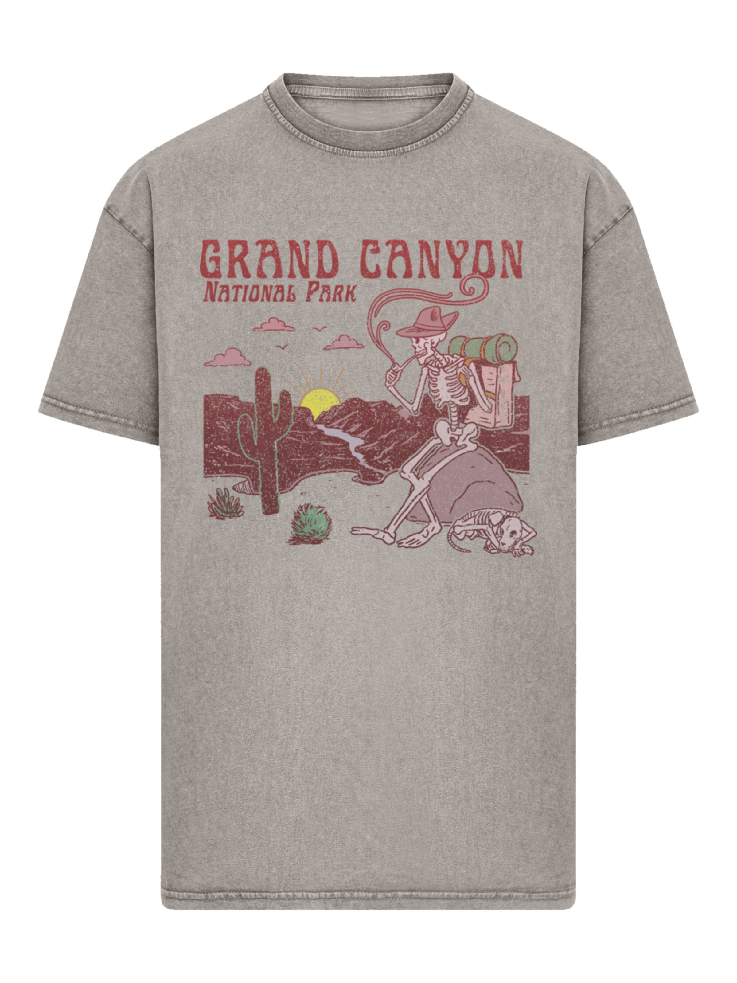 F4NT4STIC Shirt in Grey: front