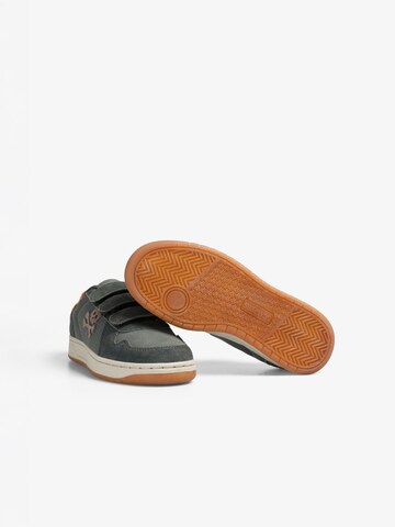 Scalpers Sneakers ' ' in Groen