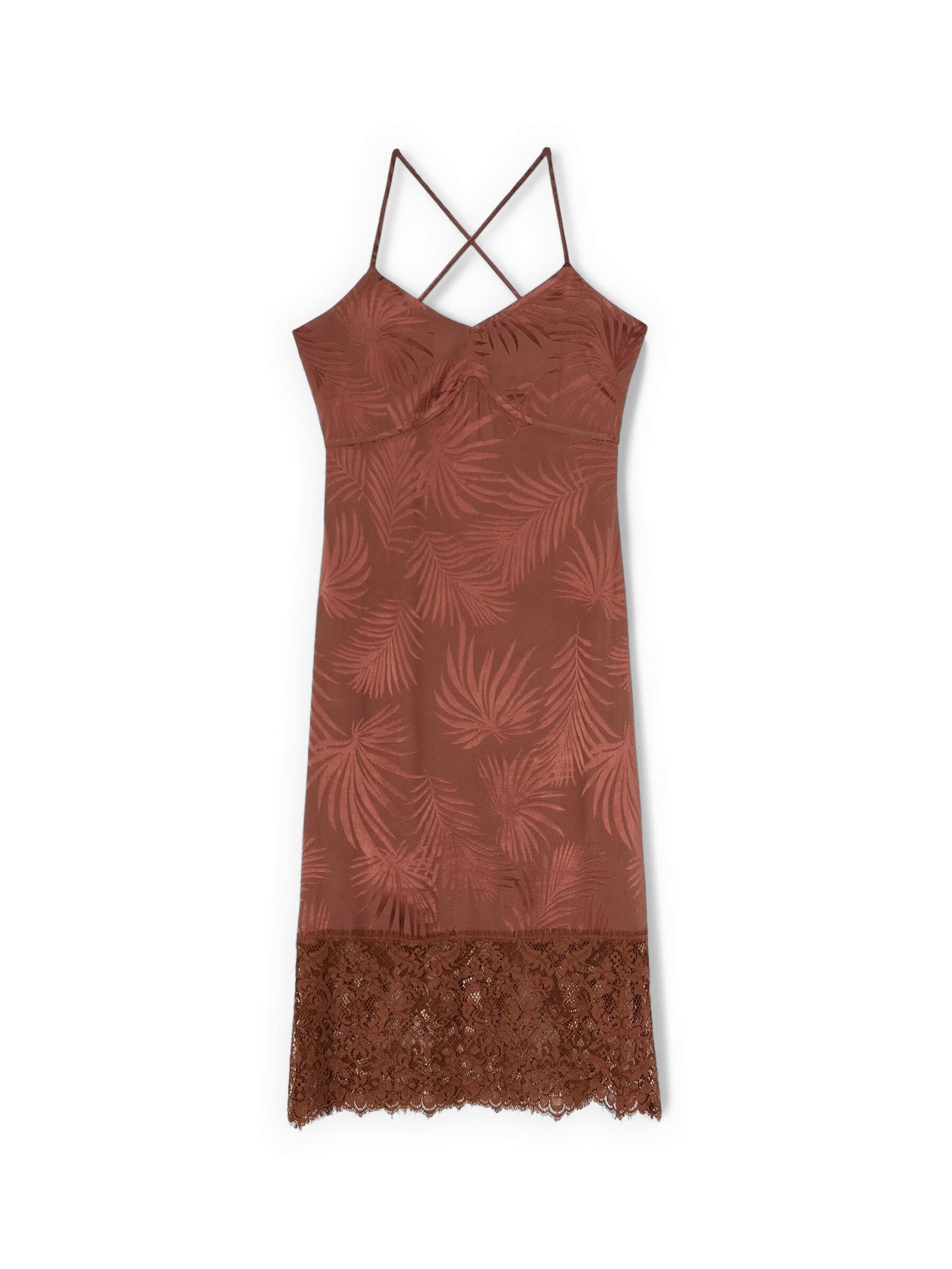 MOTIVI Jurk in Bruin: voorkant