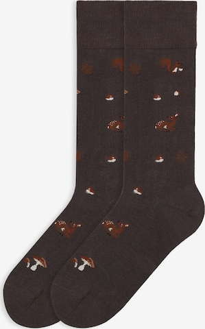 Von Jungfeld Socken 'Herbst Icons' in Braun: Vorderseite