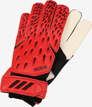 ADIDAS PERFORMANCE Athletic Gloves 'Predator' in Red