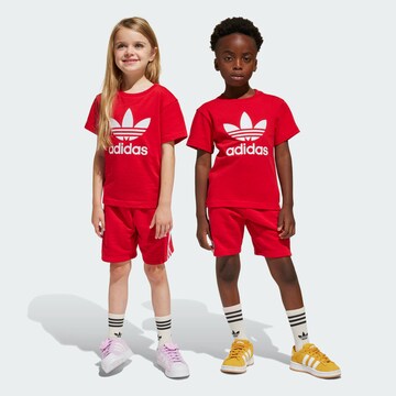 Tuta da jogging 'Adicolor' di ADIDAS ORIGINALS in rosso: frontale