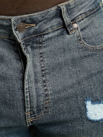 Denim Project Slimfit Jeans in Blauw