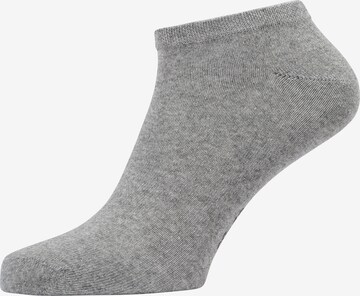 Götzburg Socks in Grey