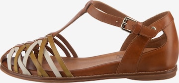 PIKOLINOS Strap Sandals 'Talavera' in Brown