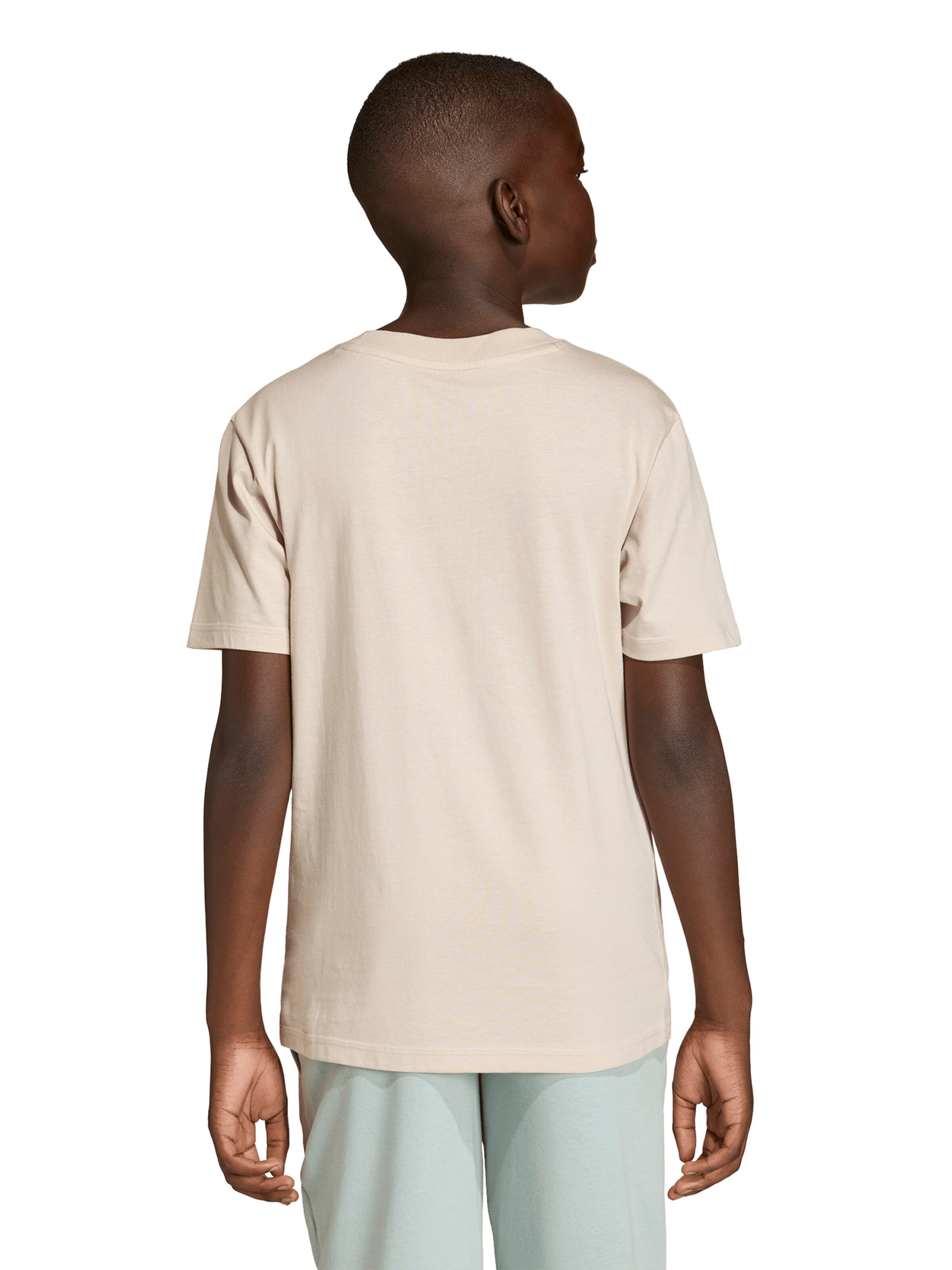 ADIDAS SPORTSWEAR Funkcionális felső 'Essentials' - szürke