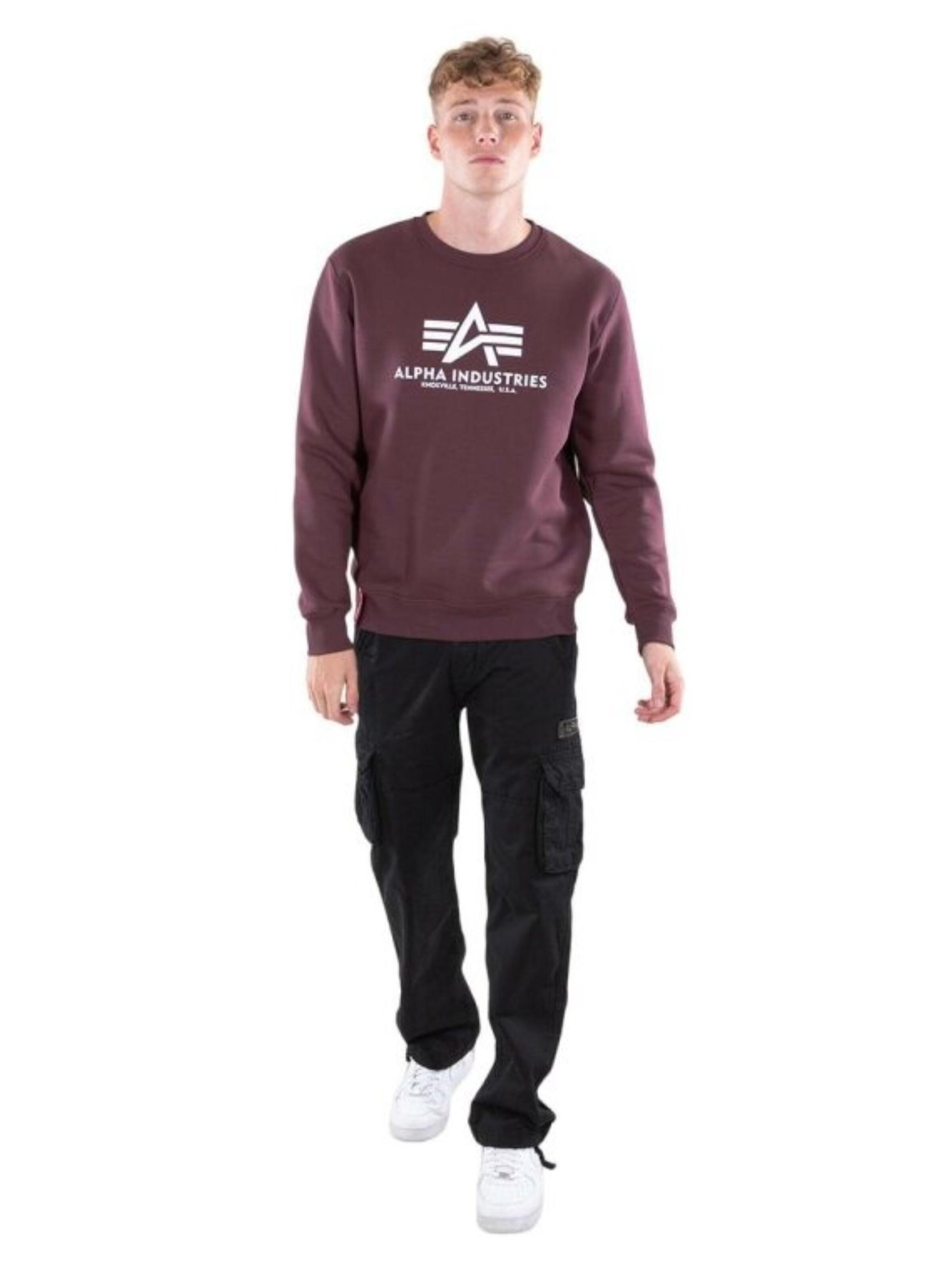 ALPHA INDUSTRIES Sweatshirt 'Basic Logo' in Red