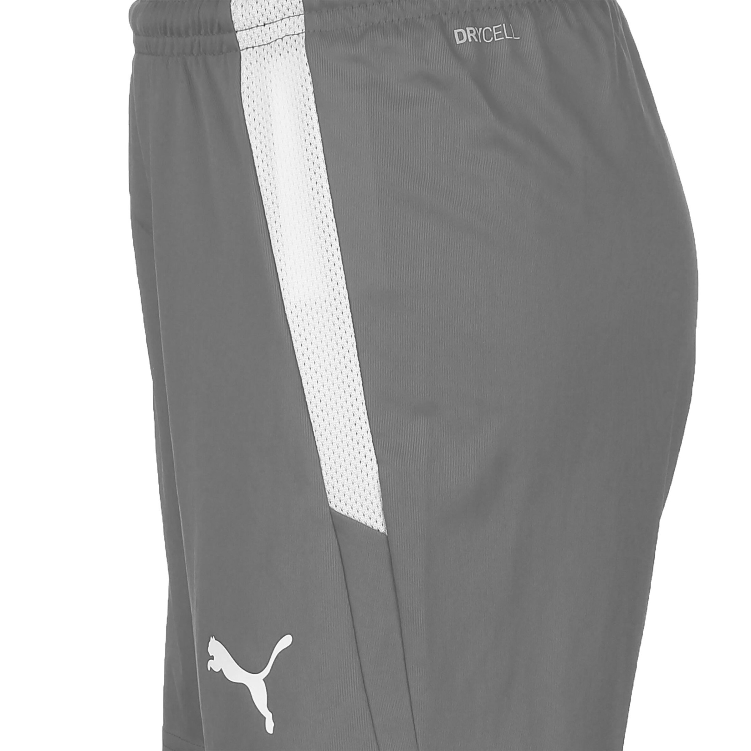 PUMA Regular Спортен панталон 'TeamLiga' в сиво