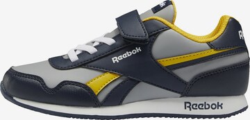 Reebok Sneakers in Blue: front