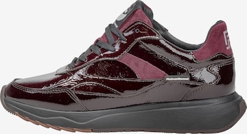 Sneaker bassa 'Suvi 05' di Floris van Bommel in rosso: frontale