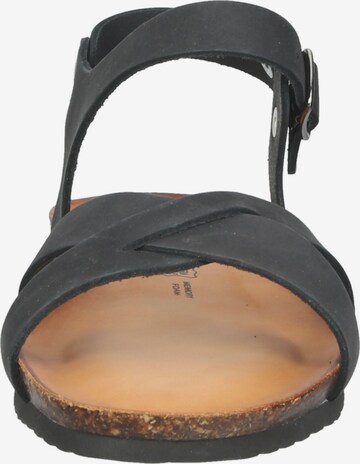 IGI&CO Sandals in Black