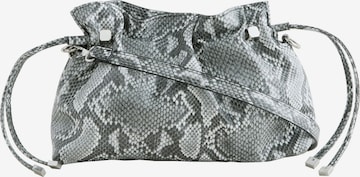 pilka Next Delninė: priekis