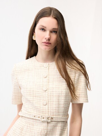 adl Shirt Dress in Brown