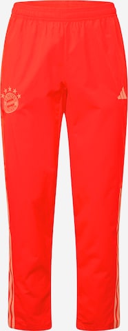 Regular Pantalon de sport 'FC Bayern München' ADIDAS PERFORMANCE en rouge : devant