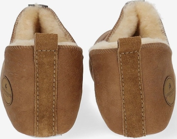 SHEPHERD Slippers in Brown