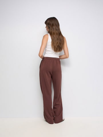 Salsa Jeans Regular Trousers in Brown