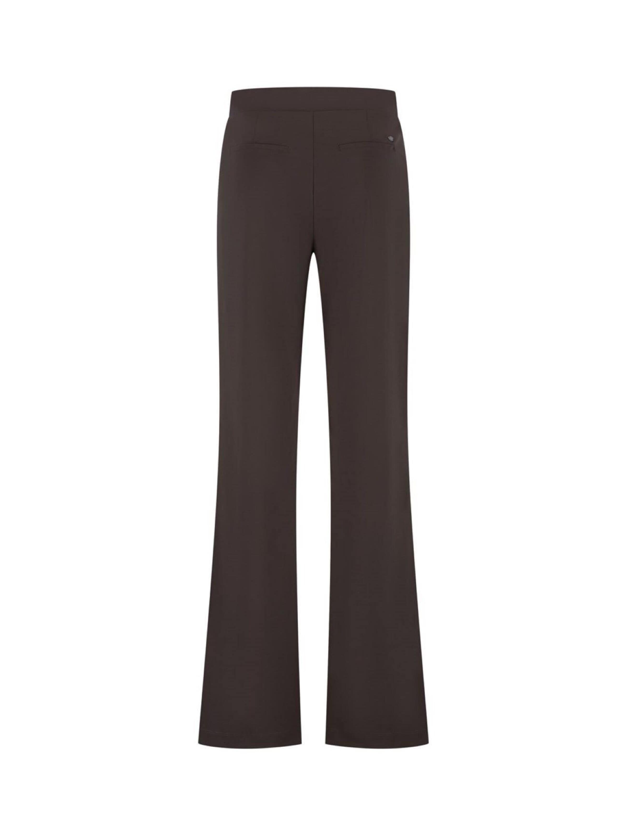 Lady Day Trousers 'Lady Day Nora bruin' in Brown