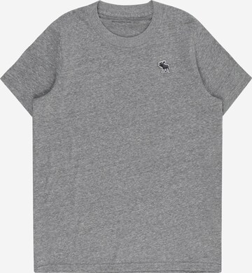 Abercrombie & Fitch T-Shirt in Grau: predná strana