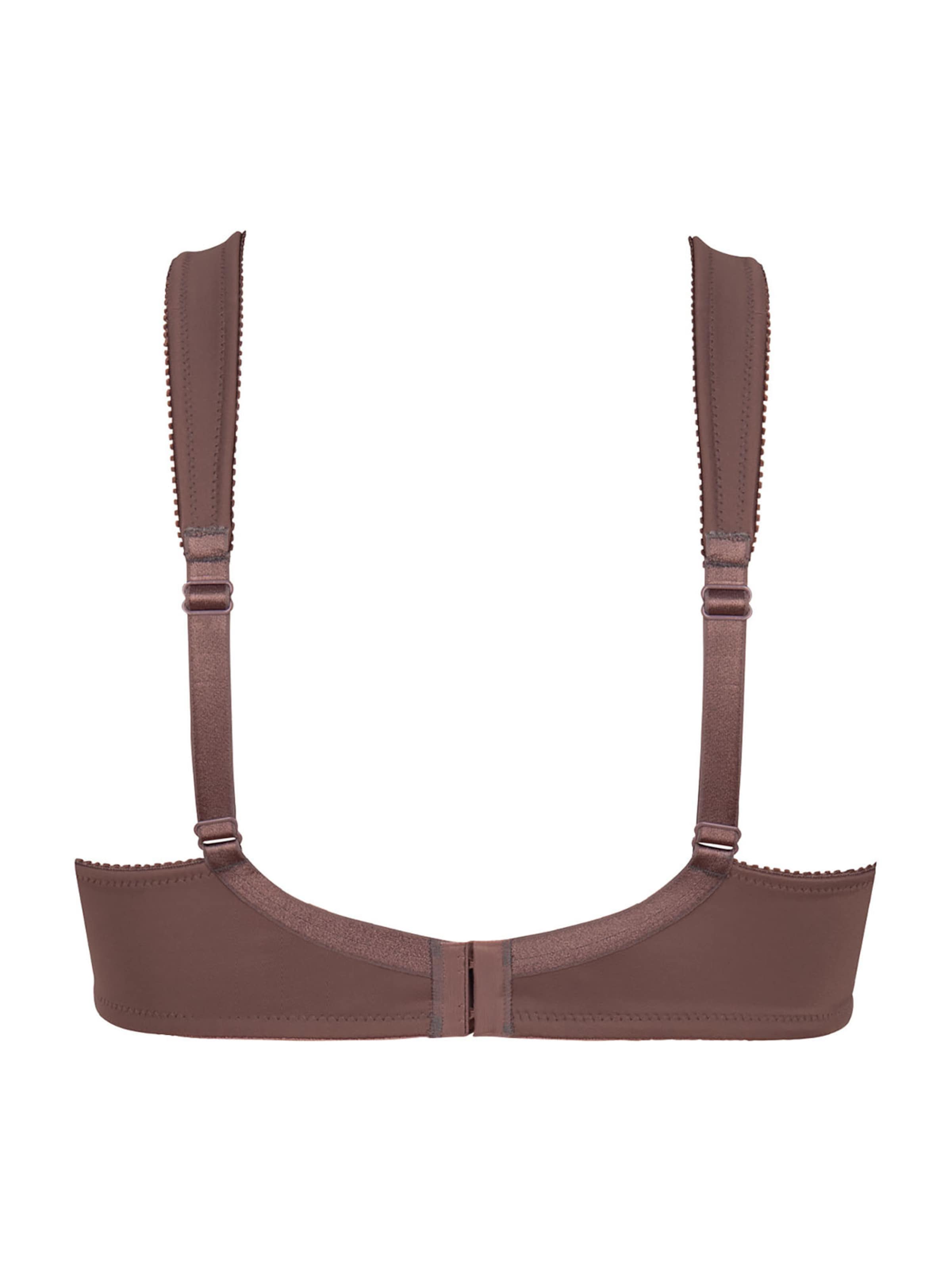 ANITA Minimiser Bra 'Lisa' in Brown