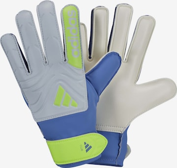 ADIDAS PERFORMANCE Torwarthandschuhe 'Copa Gl Clb' in Blau: Vorderseite